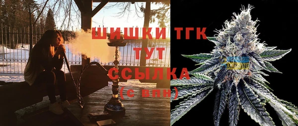 твердый Надым